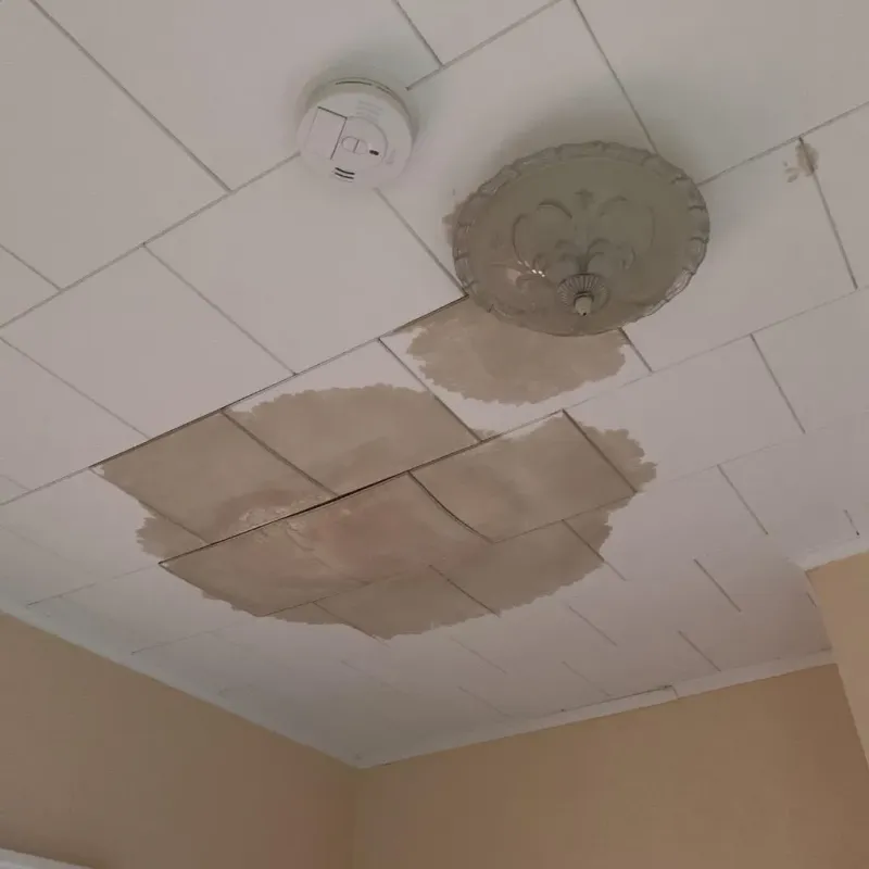 Ceiling Water Damage Repair in Tulia, TX
