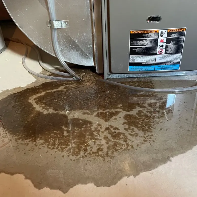 Pipe Burst and Leak Restoration in Tulia, TX