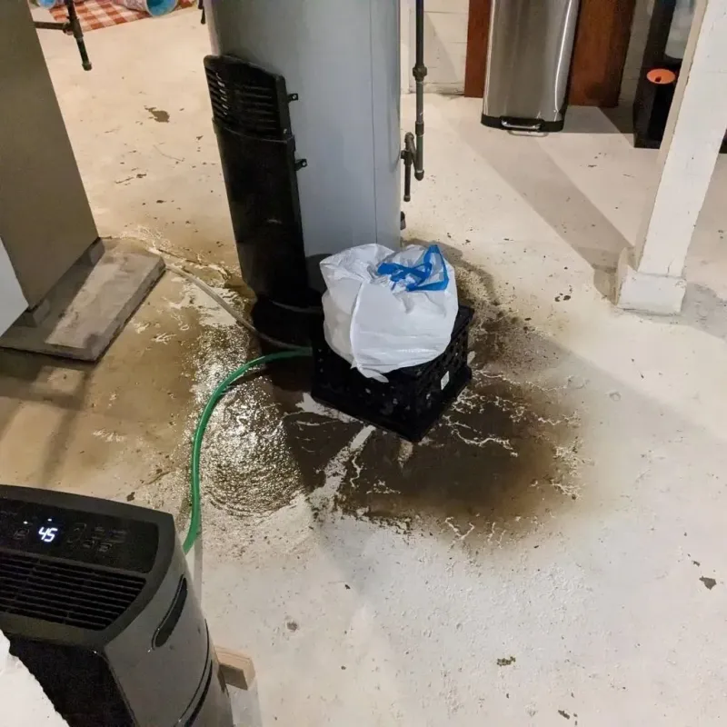 Sewage Backup Cleanup Service in Tulia, TX